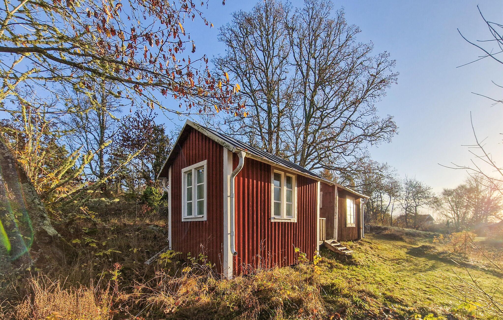 A small, red wooden cabin with a sloped roof, surrounded by trees and grass.