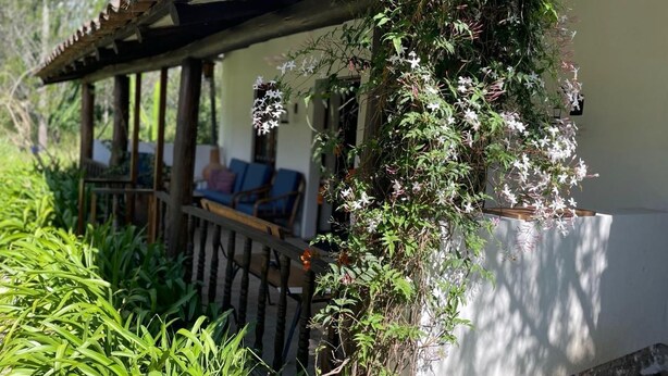 A covered outdoor seating area with a pergola, surrounded by lush greenery and flowering plants.