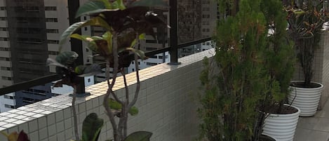 基本公寓 | 露台/庭院