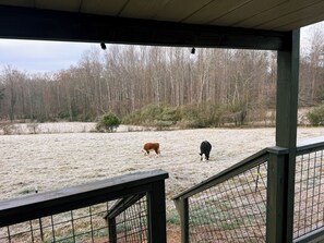 Property grounds - Meadow View Cabin w/ Flower Garden (Columbus)