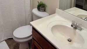Et badeværelse med bruseforhæng, toilet, vask, spejl og en lille potteplante.