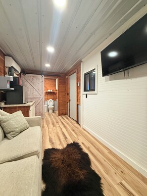 Living area - The Honey Hole 1-bedroom container home in beautiful Mount Hermon with AC (Mount Hermon)