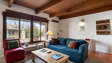 TV connectée, cheminée, livres