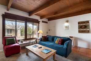 Smart TV, caminetto, libri