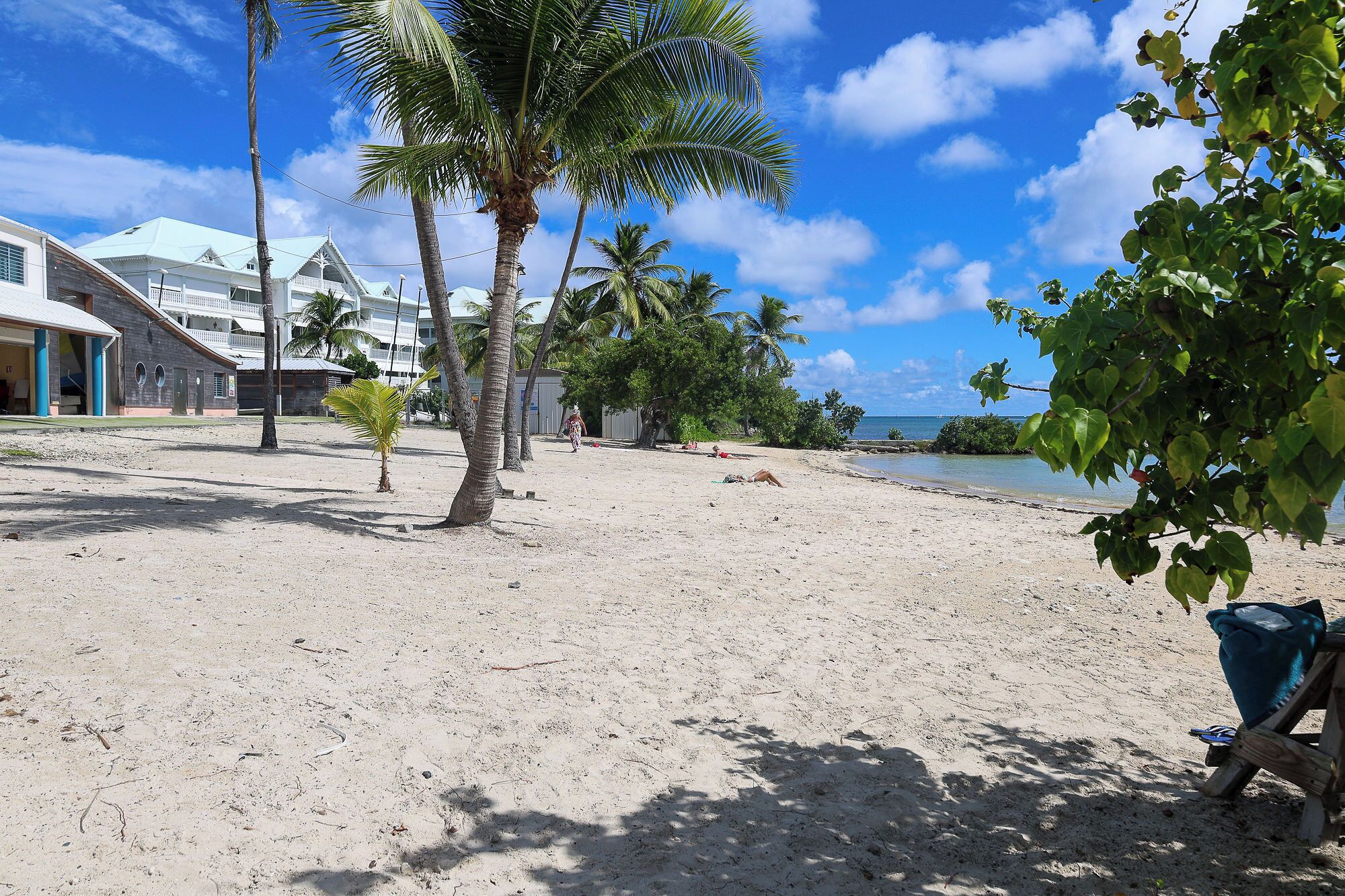 A beach with palm trees, a sandy shore, and a building with a white roof.