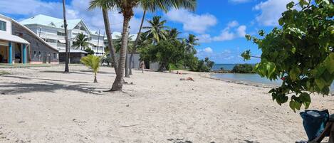 A beach with palm trees, a sandy shore, and a building with a white roof.