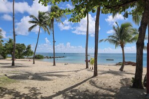 A beach with palm trees, clear skies, and calm sea. - La Papaye Jaune Apartment, Sleeps 5, 3 Rooms, Beaches, Marina, Restaurants & Shops Within Walking Distance (Saint-François)