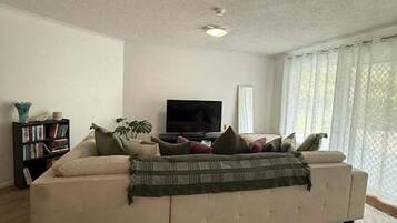 TV, books