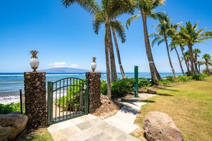 Property grounds - Relax & Unwind – Lahaina Shores 318 Studio (Lahaina)