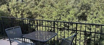 The Tranquil Terrace