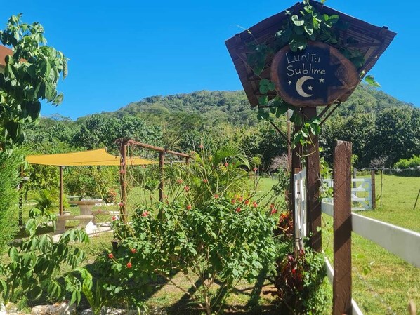 Área da propriedade