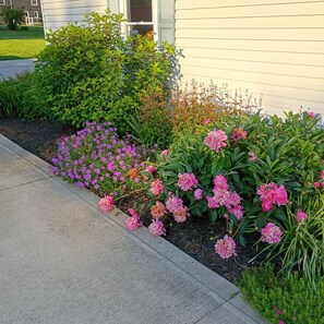 A landscaped garden with various plants and flowers along a sidewalk. - Cliffside Cottage-Cozy & Clean Home w/ Hot Tub  & Pool Table (Mansfield)