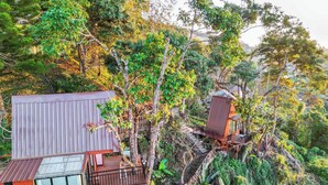 Une cabane perchée dans un arbre, dotée d’un toit en métal et d’une terrasse en bois, entourée d’un feuillage dense.