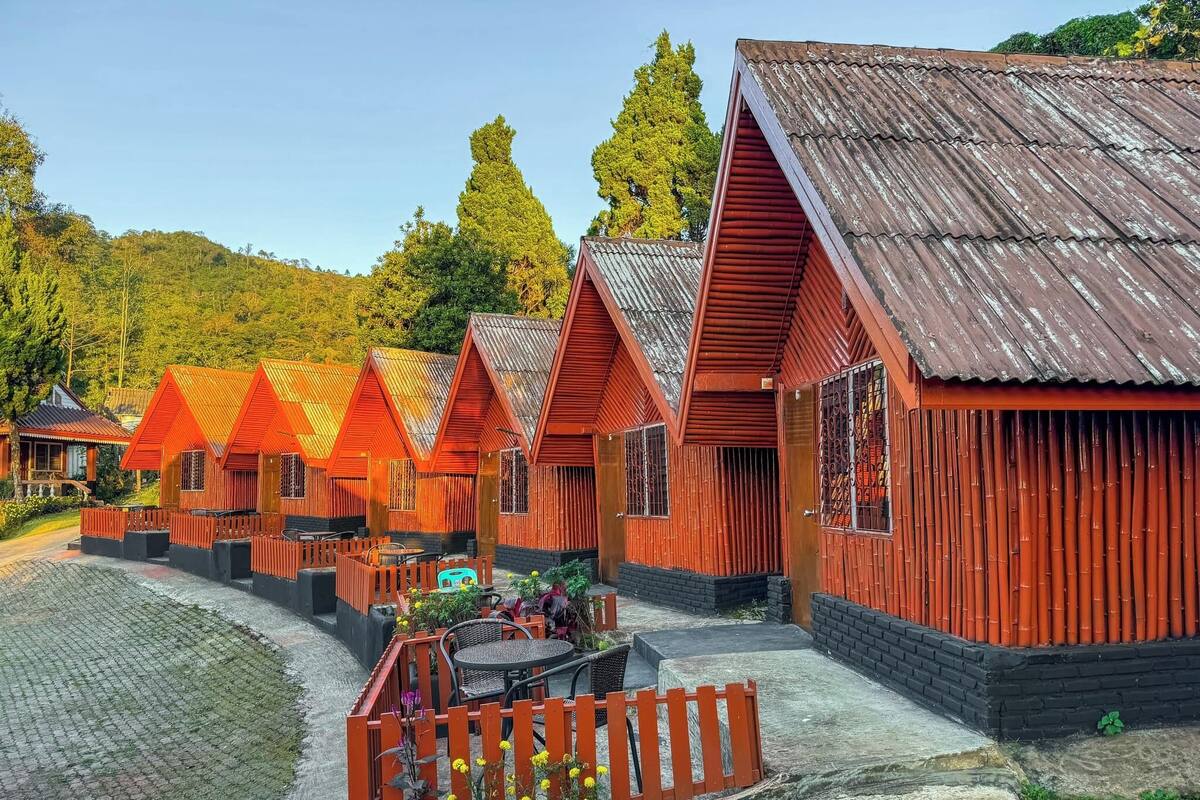 Basic House, Private Bathroom | Living area