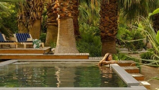 En pool omgivet af palmer og liggestole.