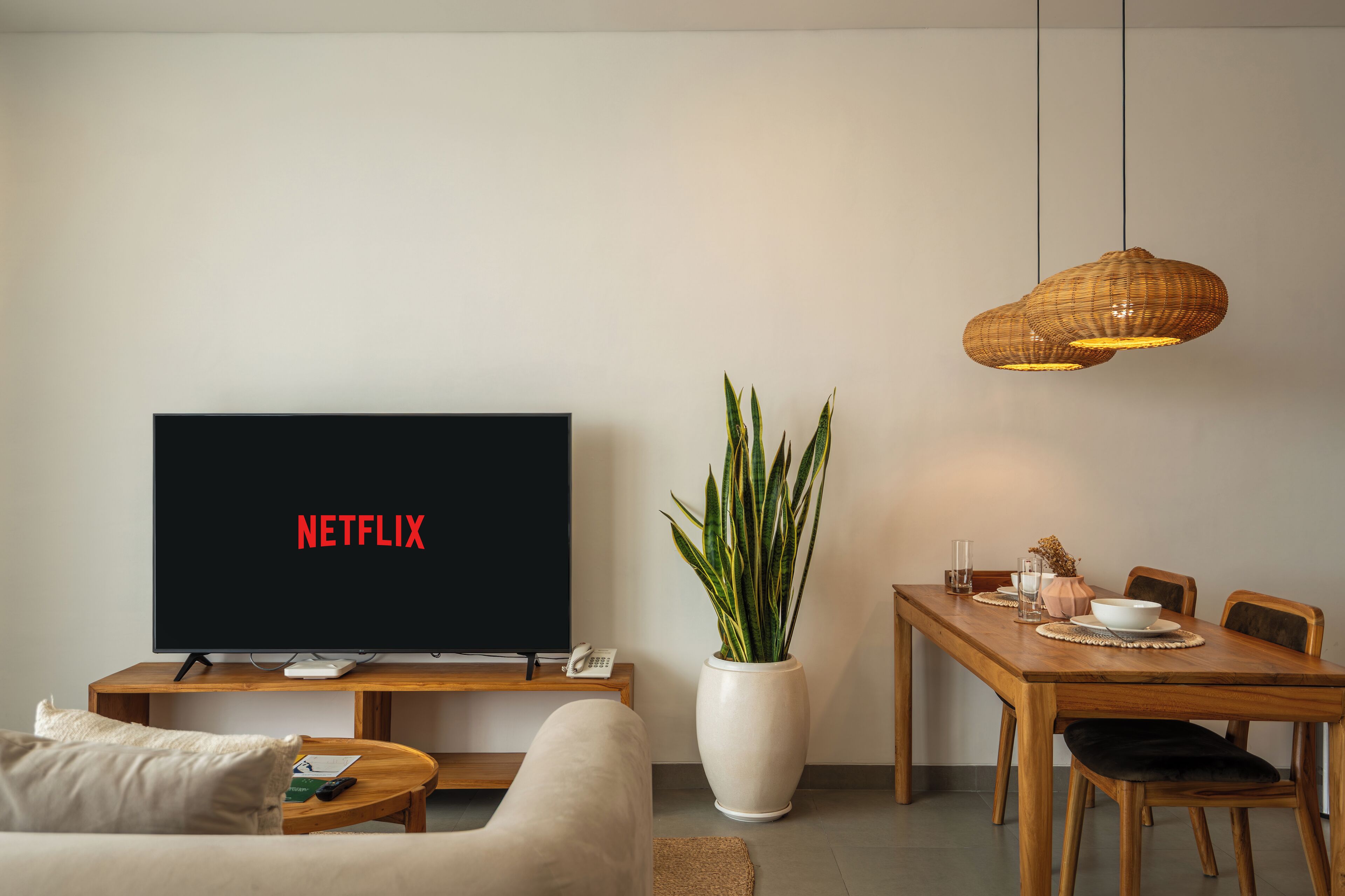 A modern living room with a flat-screen TV displaying "NETFLIX," a dining table with chairs, a potted plant, and a hanging light fixture.