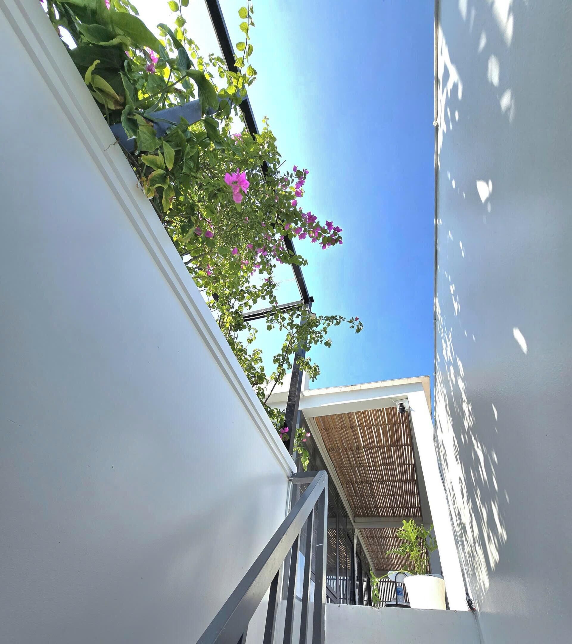 Teres/patio