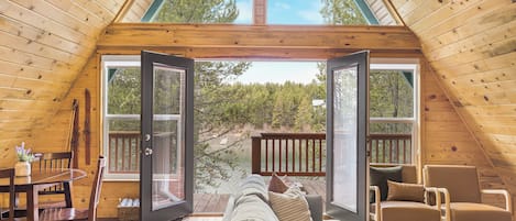 Smart TV, chimenea, libros