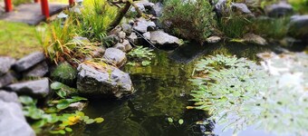 Delightful 1-bedroom bed & breakfast in charming Crescent City