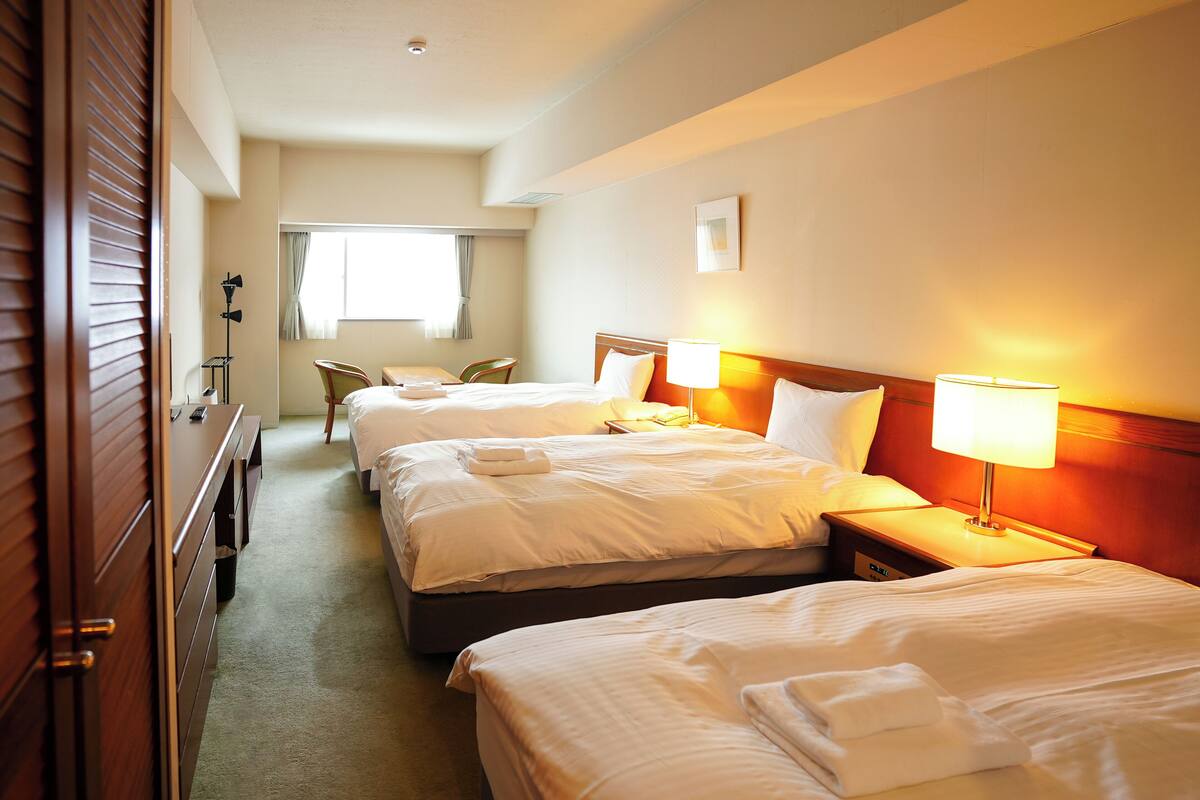Standard Triple Room, City View | Free WiFi