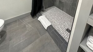 A modern bathroom with a shower area, a toilet, and a towel rack. - Carriage House - Modern Downtown Studio (Abilene)