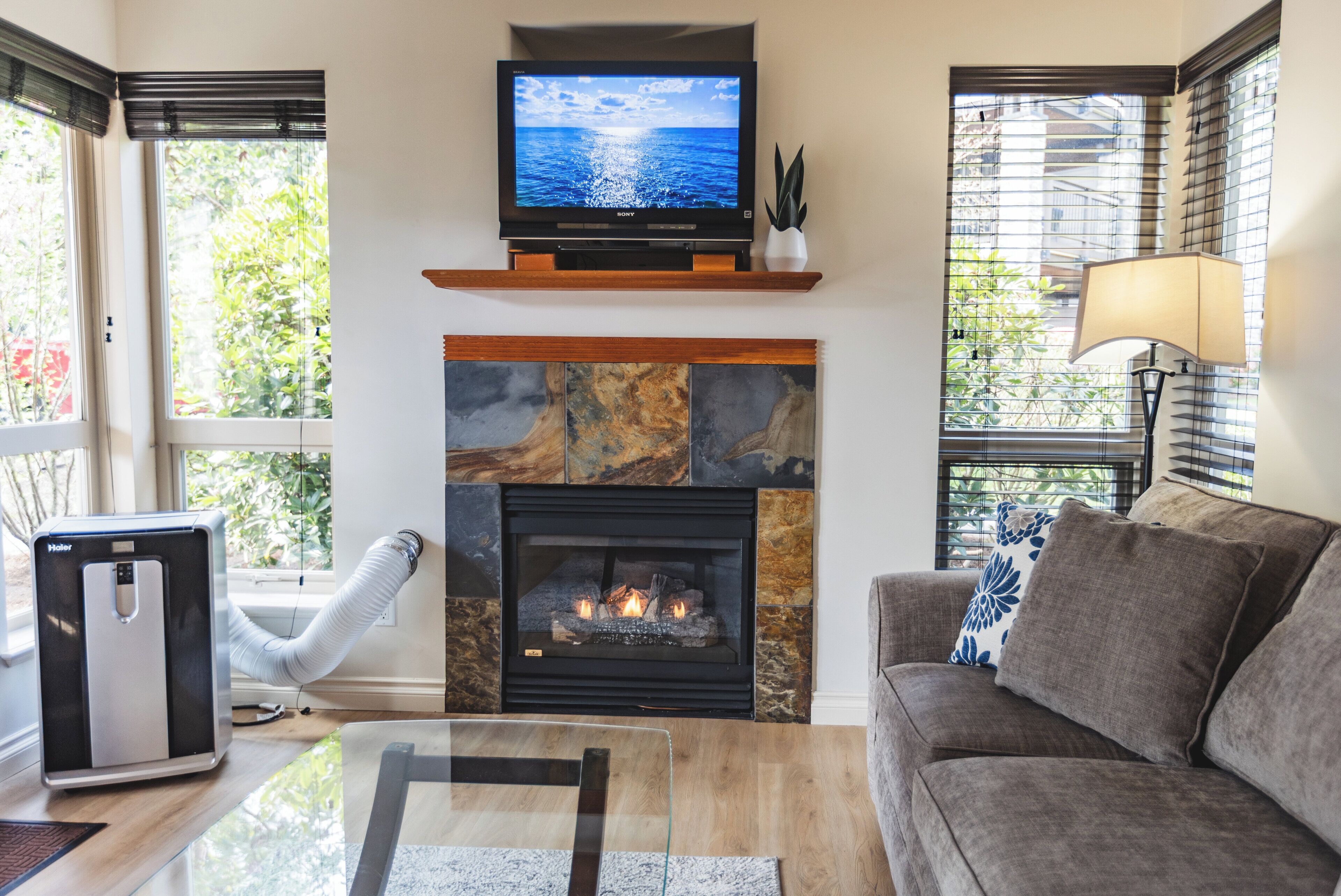 Smart TV y chimenea 