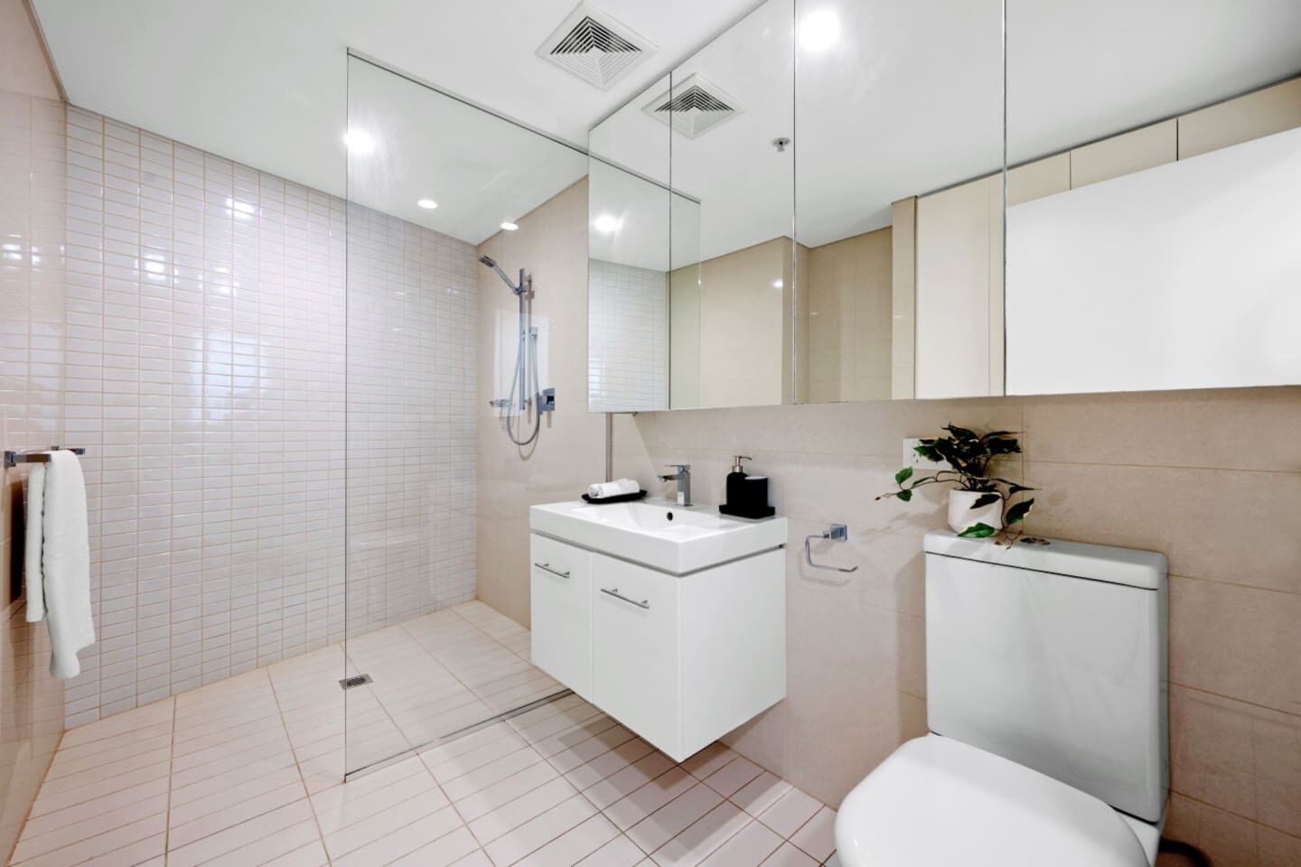 Shower, hair dryer