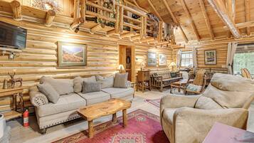 TV, fireplace, books