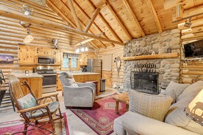 TV, fireplace, books