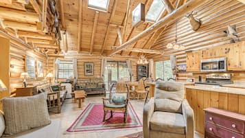 TV, fireplace, books