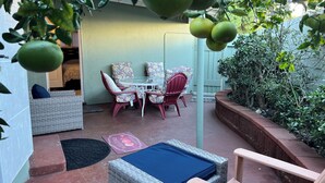 Een terras met rieten meubels, een tafel en stoelen. Er is een kleine tuin met diverse planten en een boom met groene vruchten.