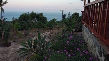 Vista desde la propiedad