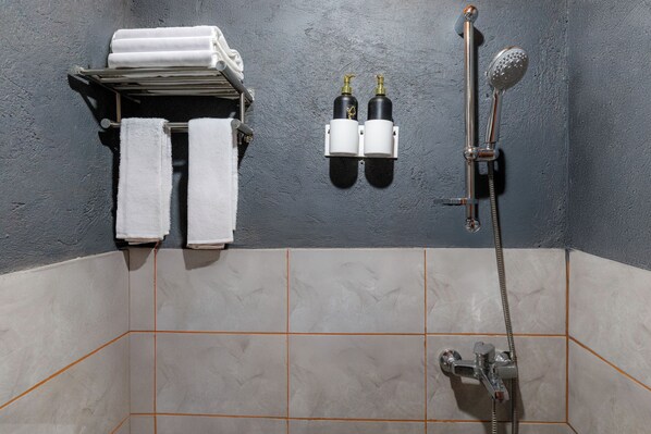 Ein Badezimmer mit Dusche, zwei Shampoo-Flaschen und einem Handtuchhalter mit zwei Handtüchern.