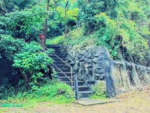 Property grounds - Limited to one group per day Higashiizu Town Nar / Kamo District Shizuoka (Kamo District)