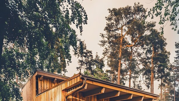 Una baita in legno con una porta, un piccolo patio con tavolo e sedie, circondata da alberi.