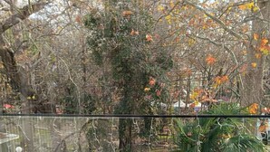 Ein Balkon mit Blick auf Bäume und einen Garten. Zwei Stühle und ein Tisch befinden sich auf dem Balkon.