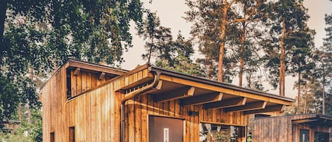 تناول الطعام بالخارج