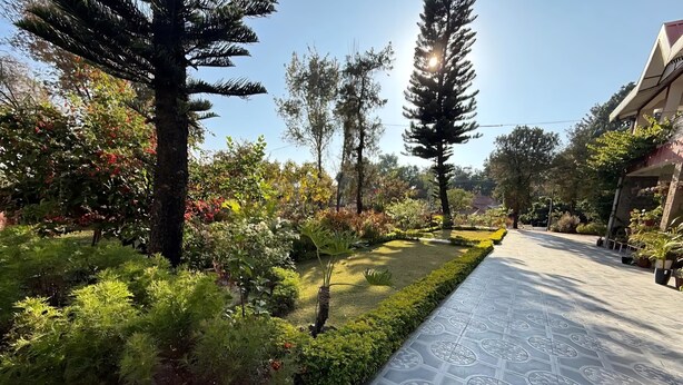A garden pathway with patterned tiles, surrounded by various plants and trees. - Summer valley cottage (Mant Khas)