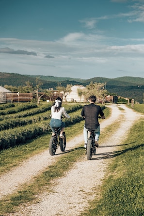 Bicycling - 2 Cuori e 1 Yurta Glamping in Toscana (Asciano)