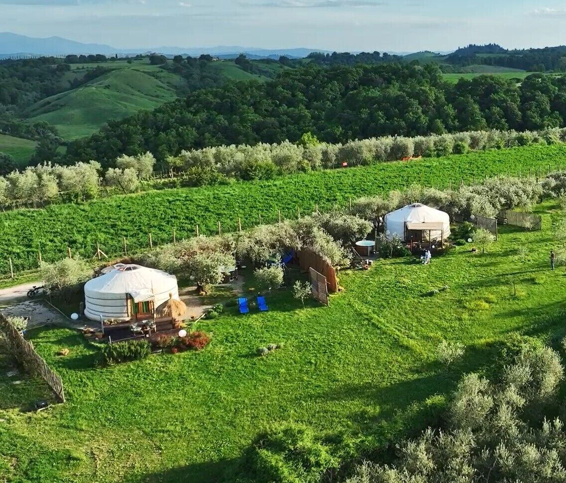 Una yurta con tetto di paglia, circondata da campi verdi e una catena montuosa in lontananza.