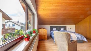 Bügeleisen/Bügelbrett, WLAN, Bettwäsche