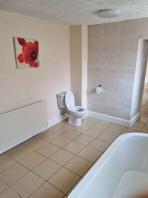 Shower - Private 2 bed flat Sunderland City Centre (Sunderland)