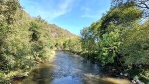 Um rio serpenteando por uma área densamente arborizada, com árvores em ambas as margens.