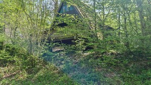 Uma cabana isolada rodeada por uma floresta densa, com uma varanda visível e um telhado inclinado.