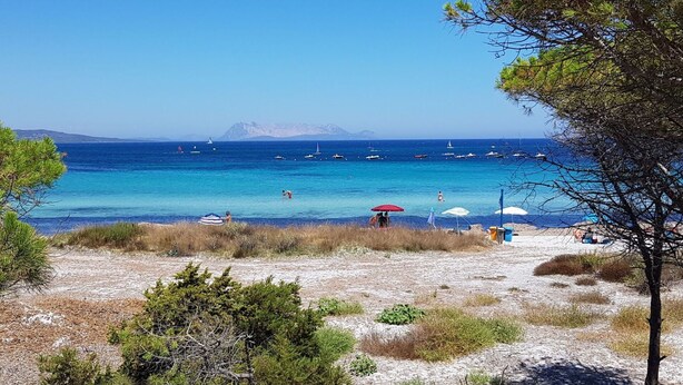 Strand