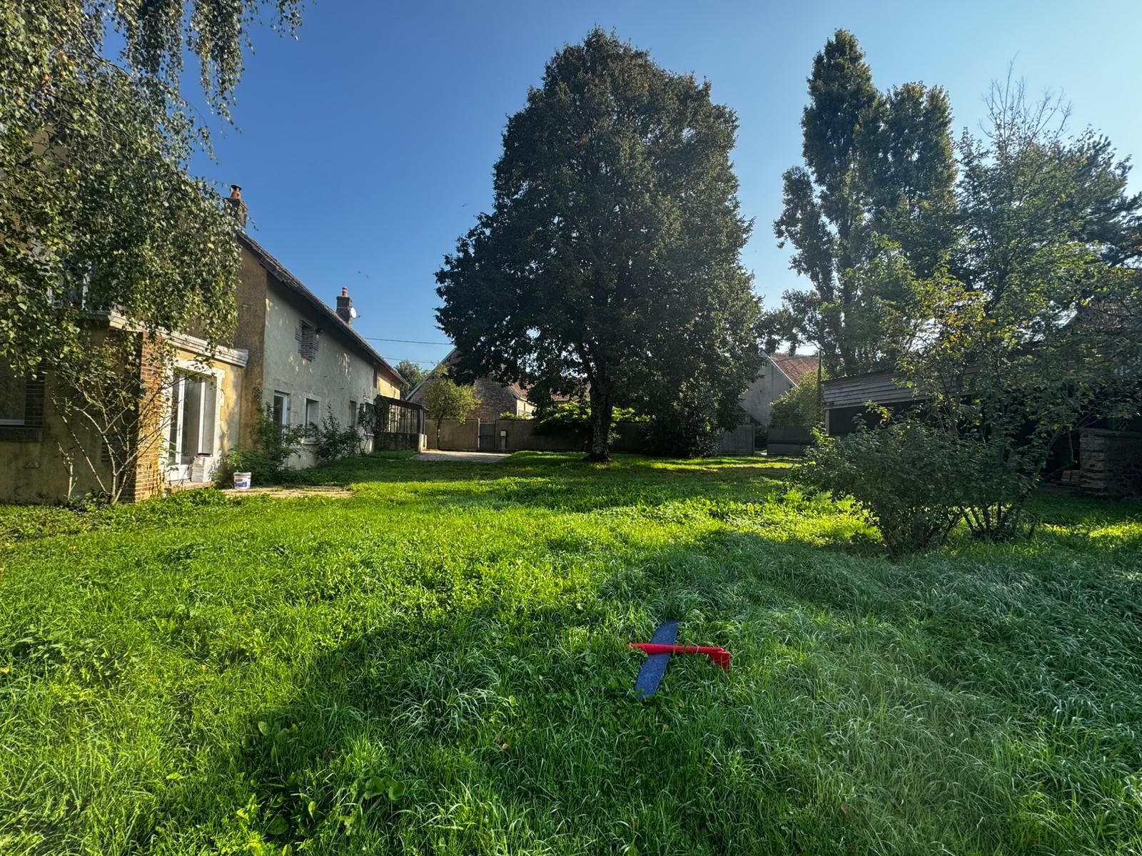 A grassy backyard with a small airplane toy, a house, and trees.