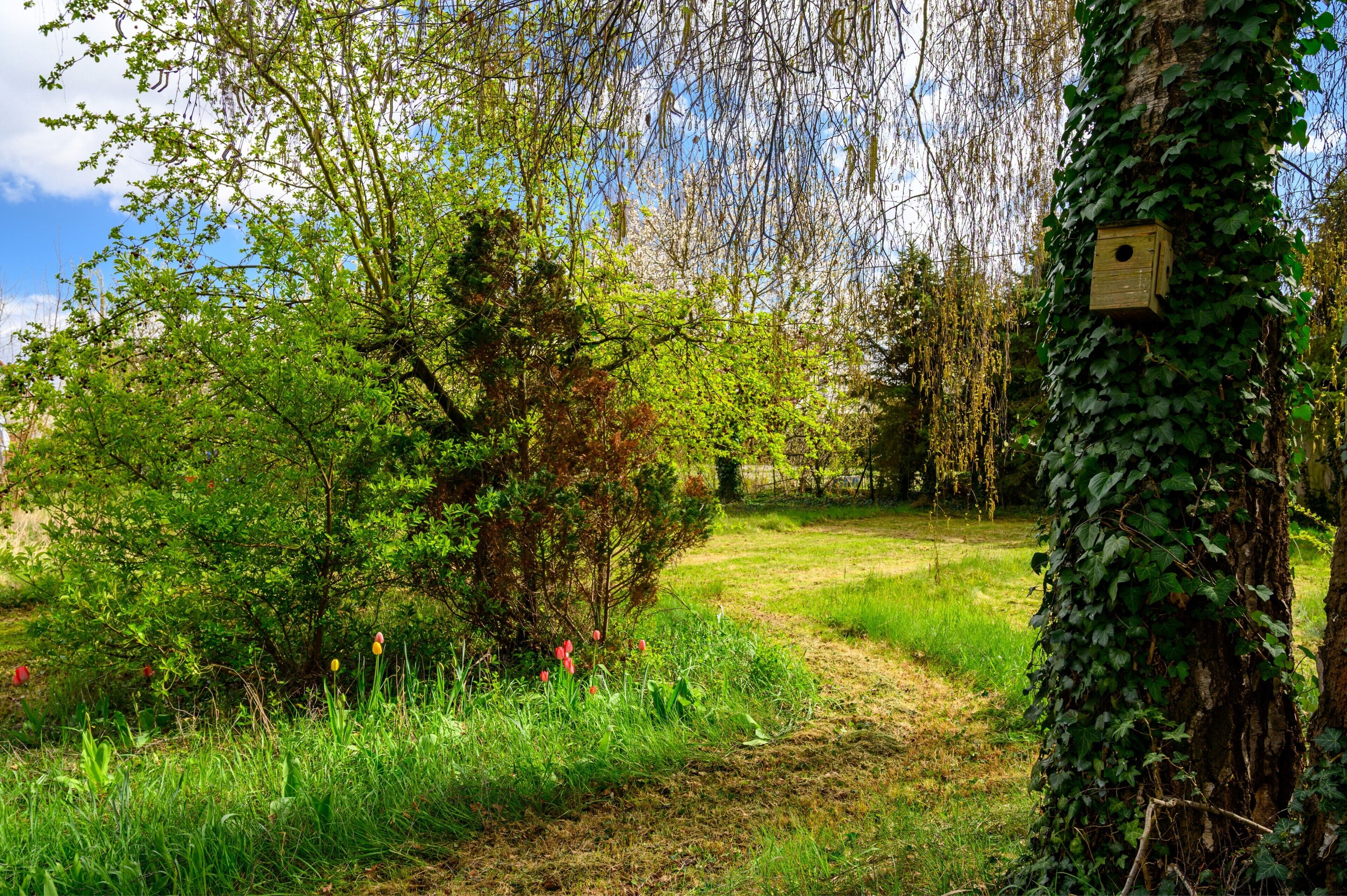 Áreas de la propiedad