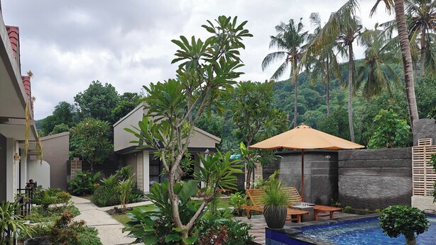 A modern house with a swimming pool, surrounded by lush greenery and palm trees. - Ghangga Amed (Karangasem)