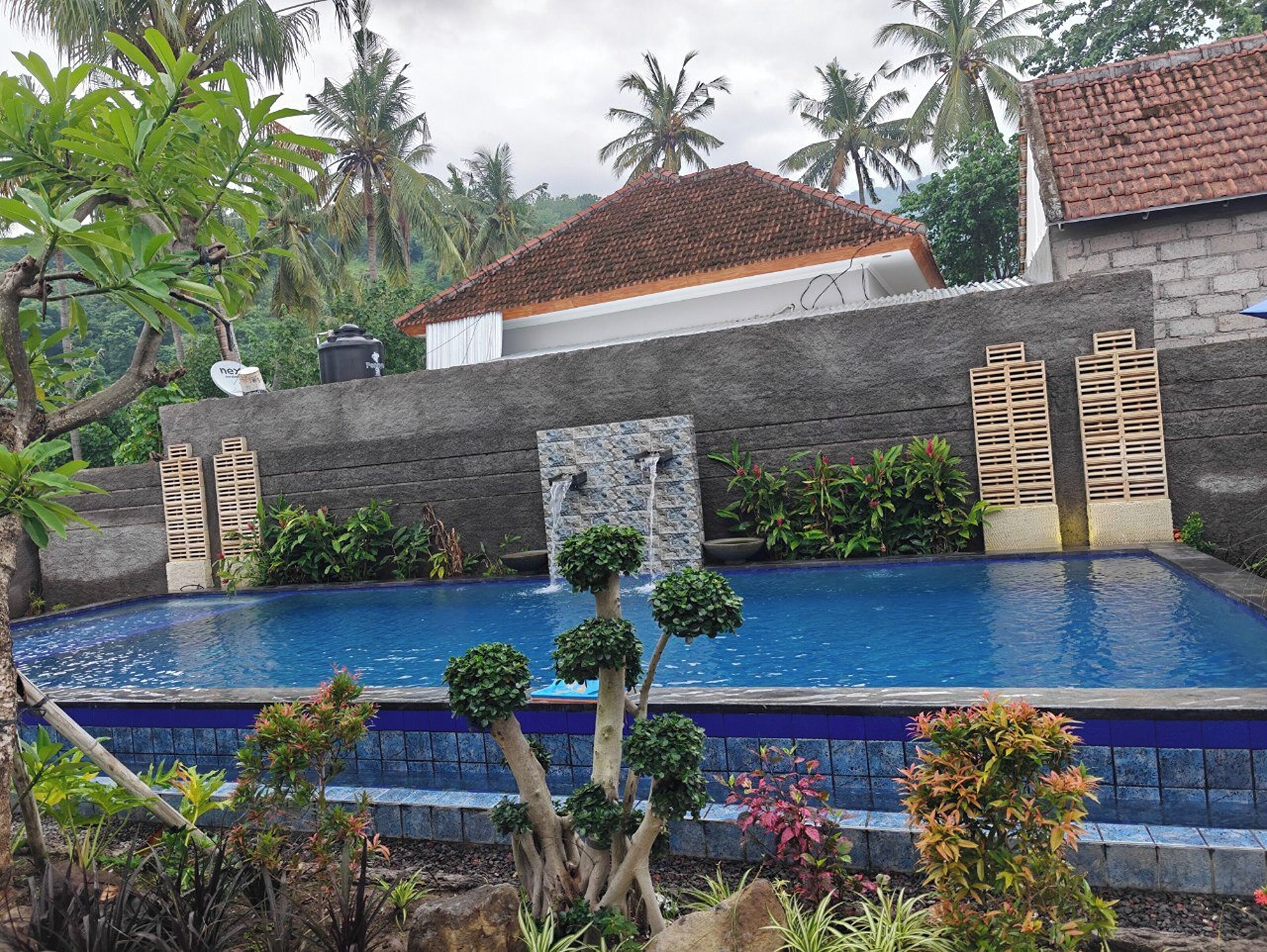 A swimming pool with a stone wall, a small waterfall feature, and tropical plants.