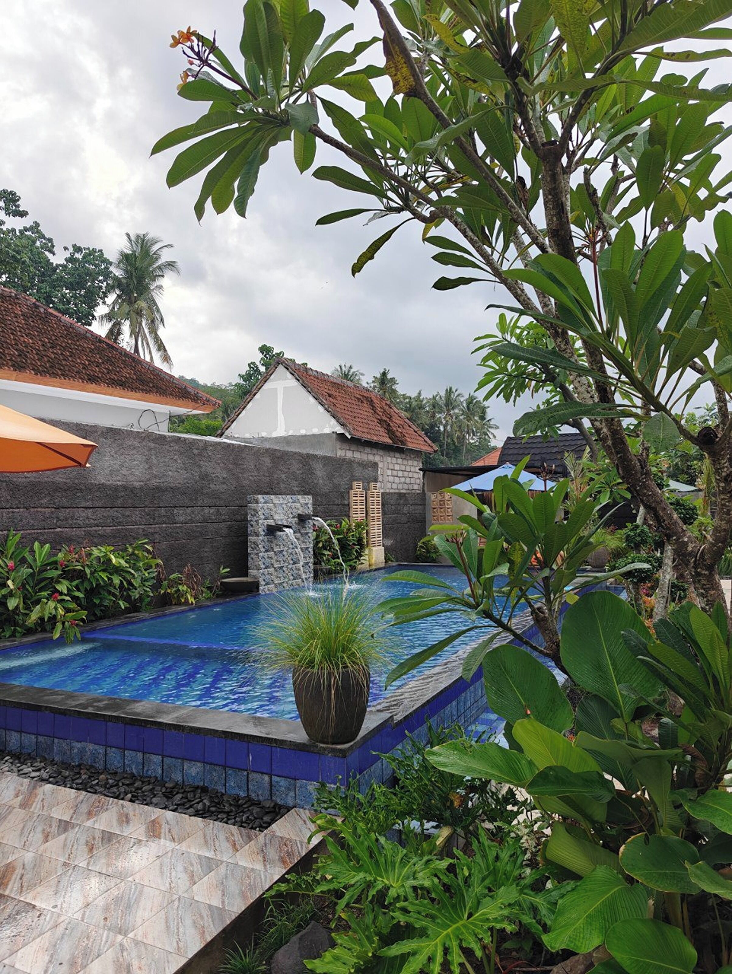 A swimming pool with a waterfall feature, surrounded by lush greenery and a stone wall.